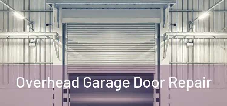  Overhead Garage Door Repair 