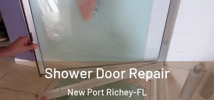  Shower Door Repair New Port Richey-FL
