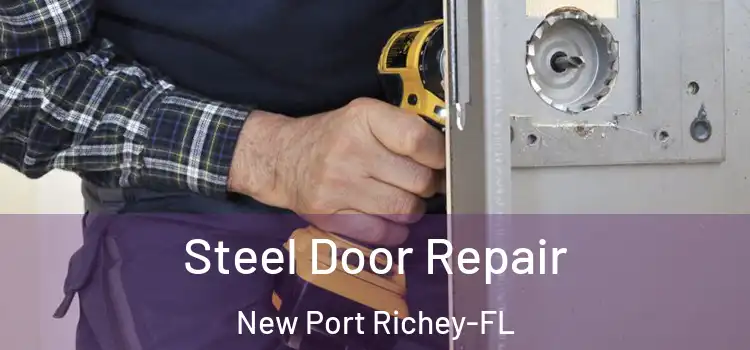 Steel Door Repair New Port Richey-FL